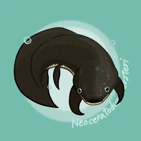 Neocera アーティスト写真 1